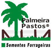 Palmeira Pastos - Sementes Forrageiras